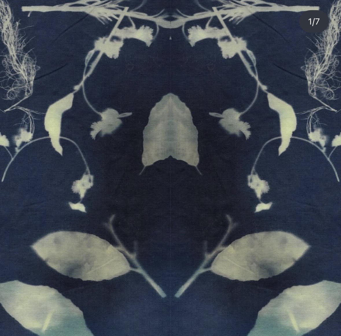 Descrizione dell'immagine